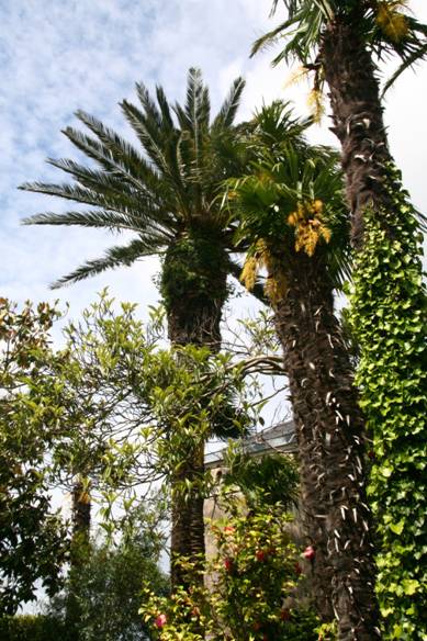 couverture bulletin 31