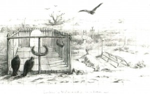 2 oiseaux noirs de dos - JX1953