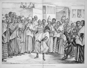 Anamalis Fobil - JX1953