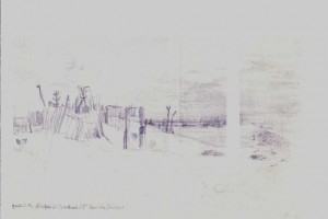 Ce délicat croquis de P.L de la langue de Barbarie sem