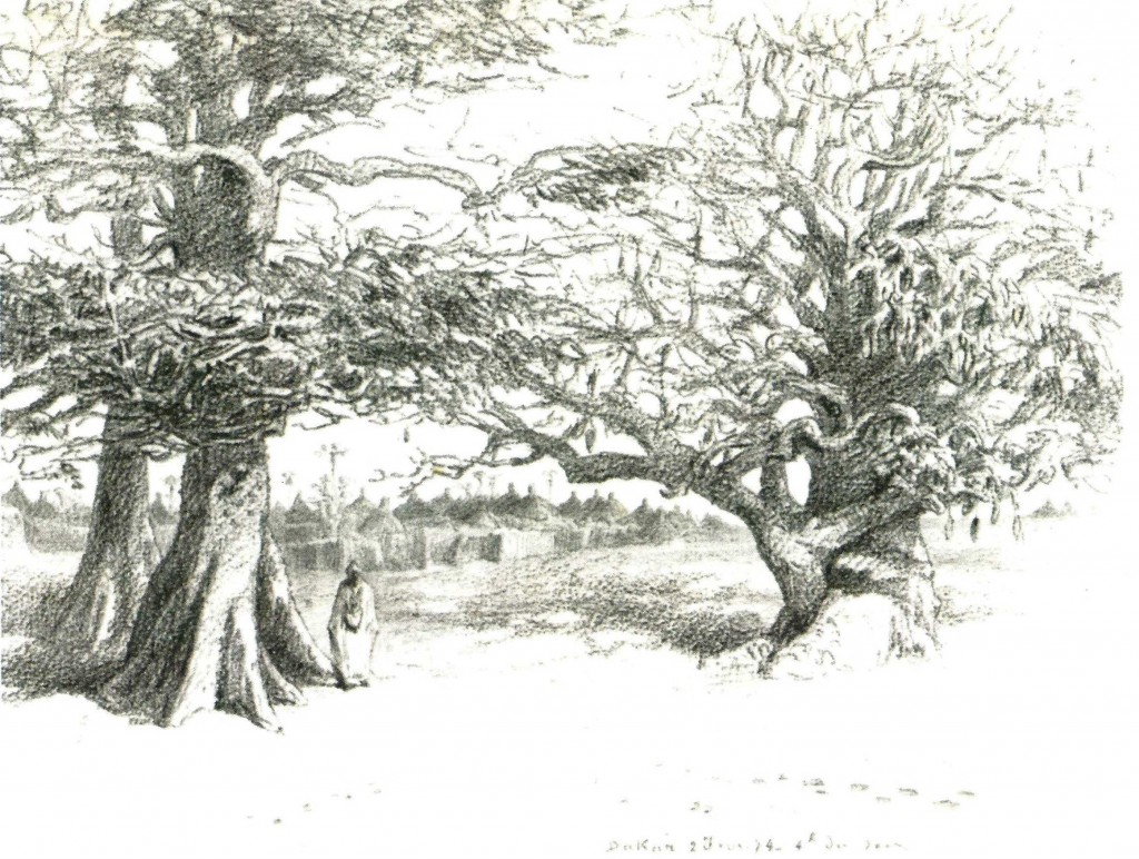 Dakar 2 Février 1874 – 4 h du soir - JX1953