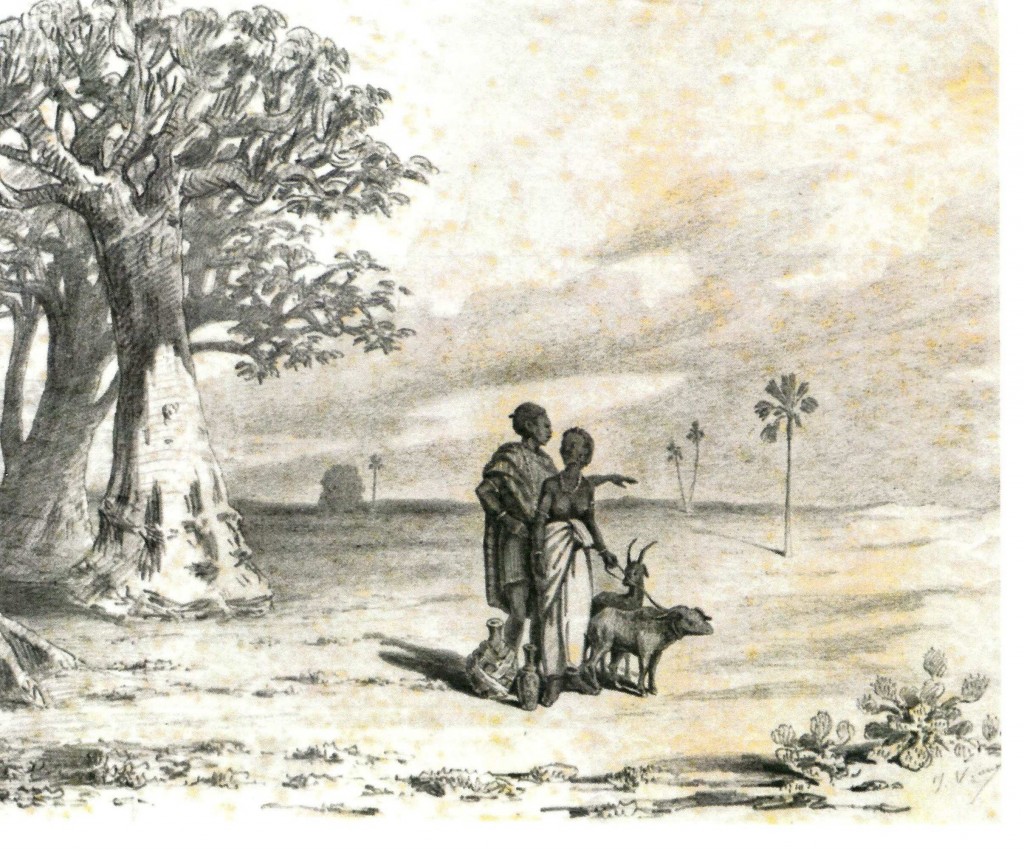 Dans les Dunes aux environs de Dakar - JX1953