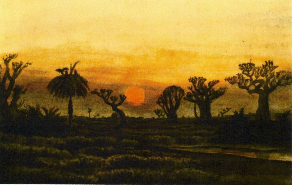 Dans les marais aux environs du Cap Verd – Décembre 73 - JX 1953