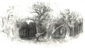 Les villages yolofs situés aux environs de Dakar - JX1953