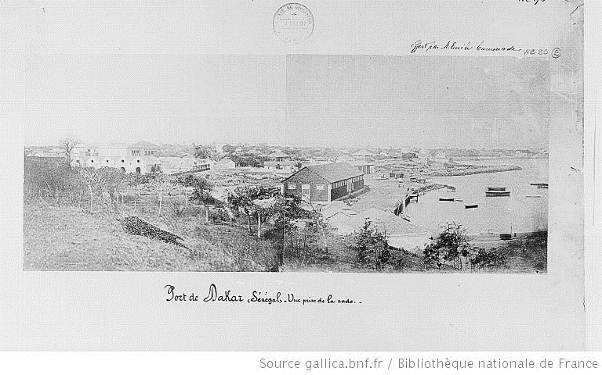 Port de Dakar - Pétrel - JX1953