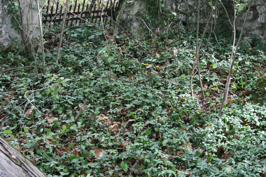 Emplacement de la tombe de Blanche dans le cimetière privé, en forêt, situé à Larchère, en Dordogne.