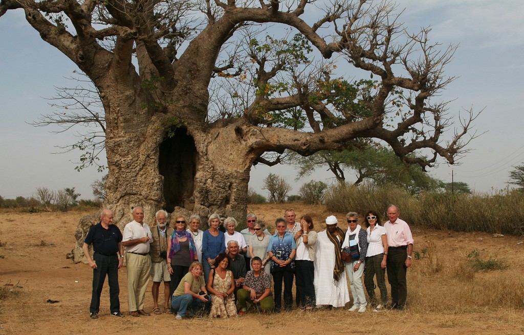 Groupe adhérents AIAPL devant baobab - voyage Sénégal 2011 - JX1953