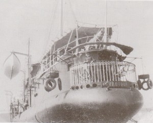 Le Vautour (sur le balcon appartement de Pierre Loti)