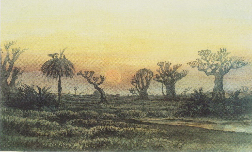 Marais-Cap-Vert JV 1873-p118