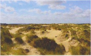 Réserve de Westhoek - Bel2a