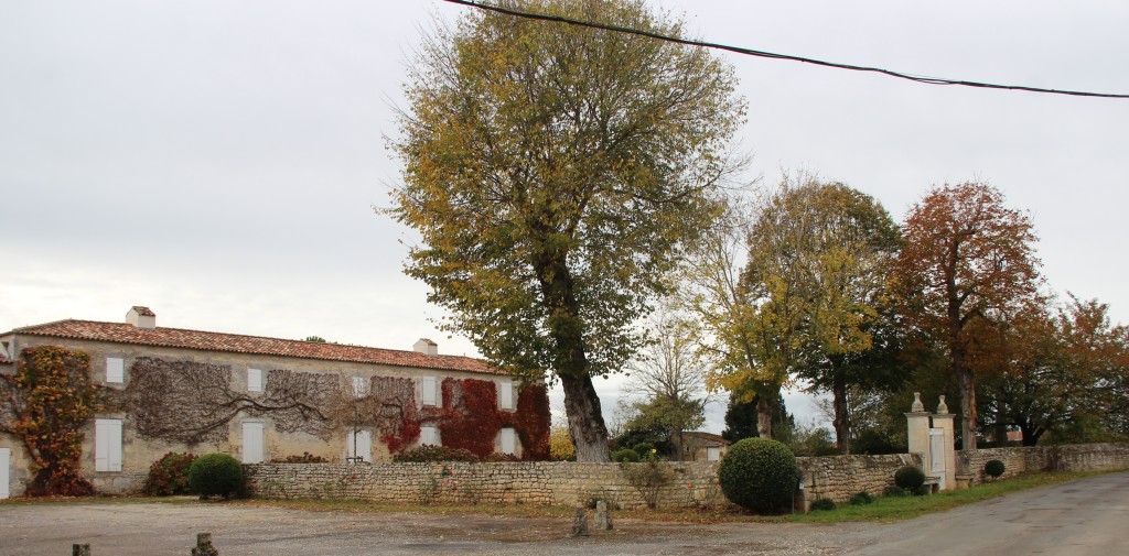 Dix novembre 2017-Rochefort-Echillais 046-1