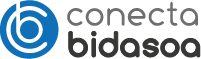 Logo Bidasoa