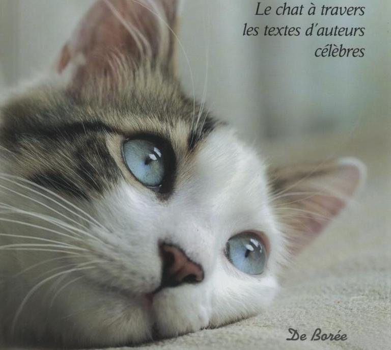 chronique-jacques-plaine-28-06