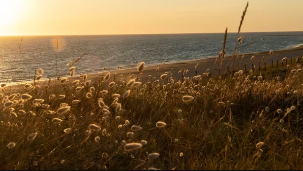 La plage des Huttes est l’un des secrets bien gardés de l’île d’Oléron. ©Stephan Gladieu pour le Figaro Magazine