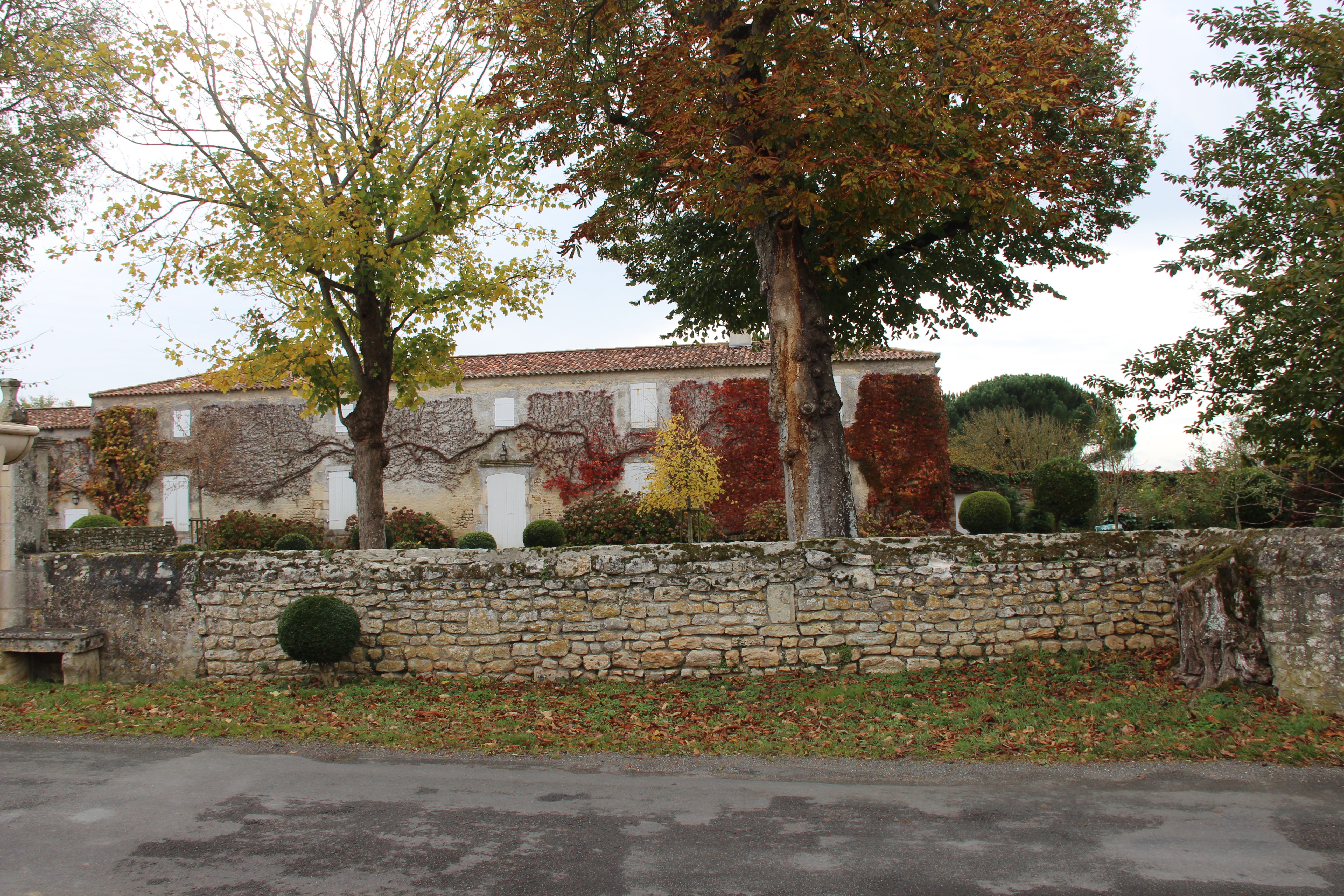 Dix novembre 2017-Rochefort-Echillais 039