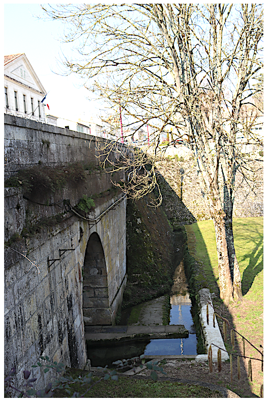 5-St-Porchaire-Marie Viaud