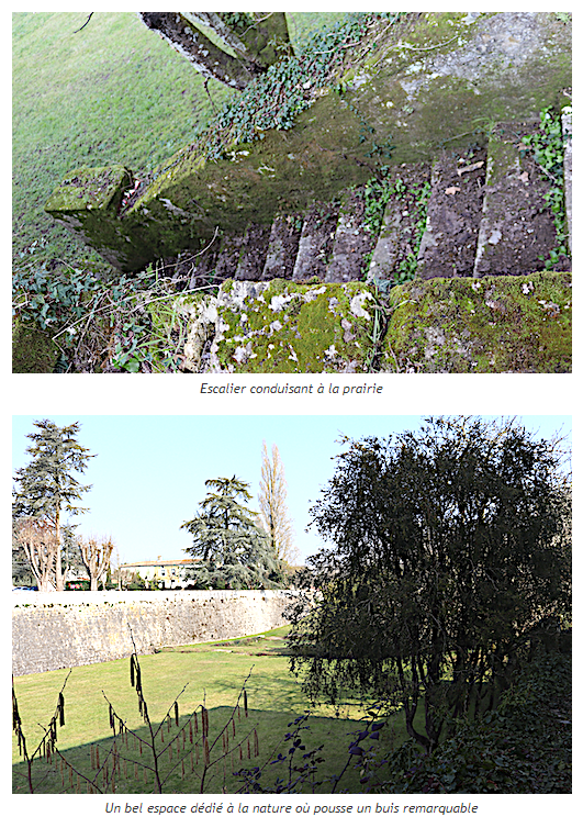 7-St-Porchaire-Marie Viaud