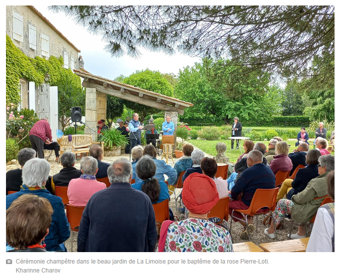 6-Loti Limoise-rose 20 mai 23