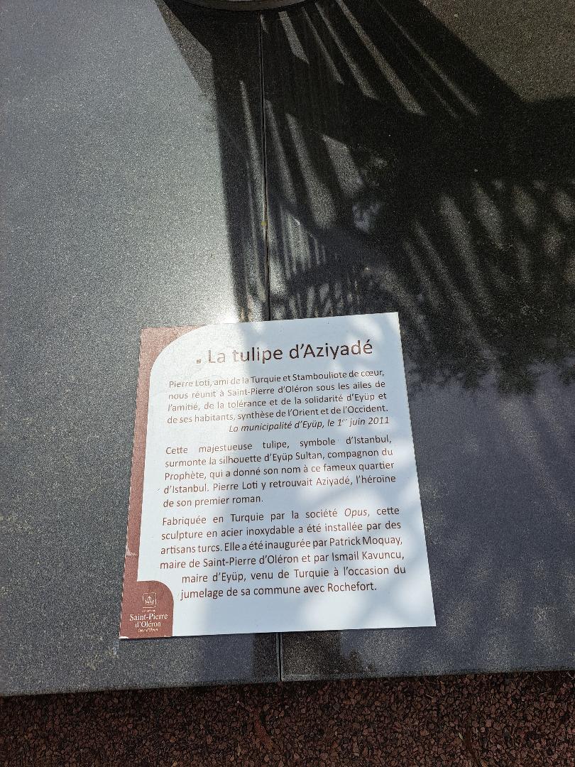 inscription frçse tulipe