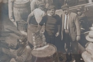 8cc09cf06765680d09cf0676554d09v-960x640